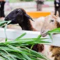 搜索资讯 - 开云体育下载